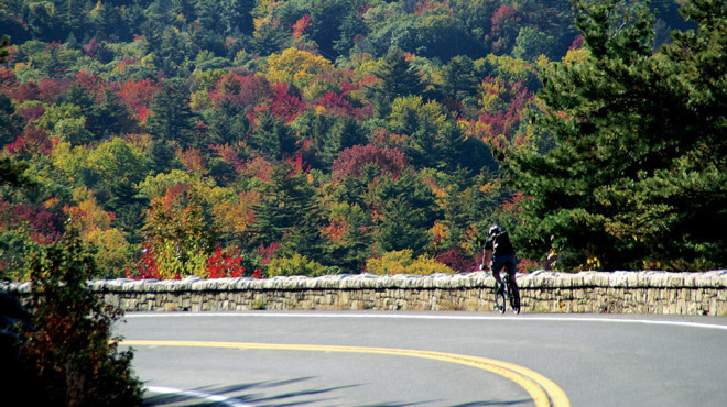 New York fall foliage and leafpeeping guide for families