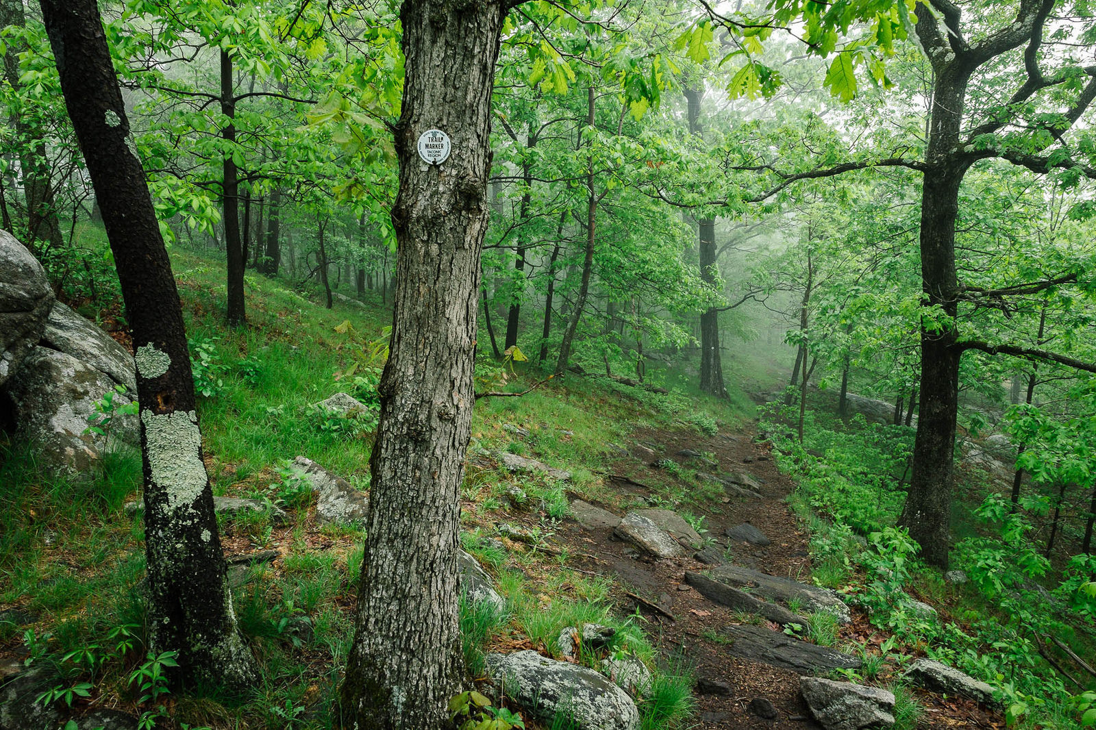 Best hiking near NYC accessible via public transportation