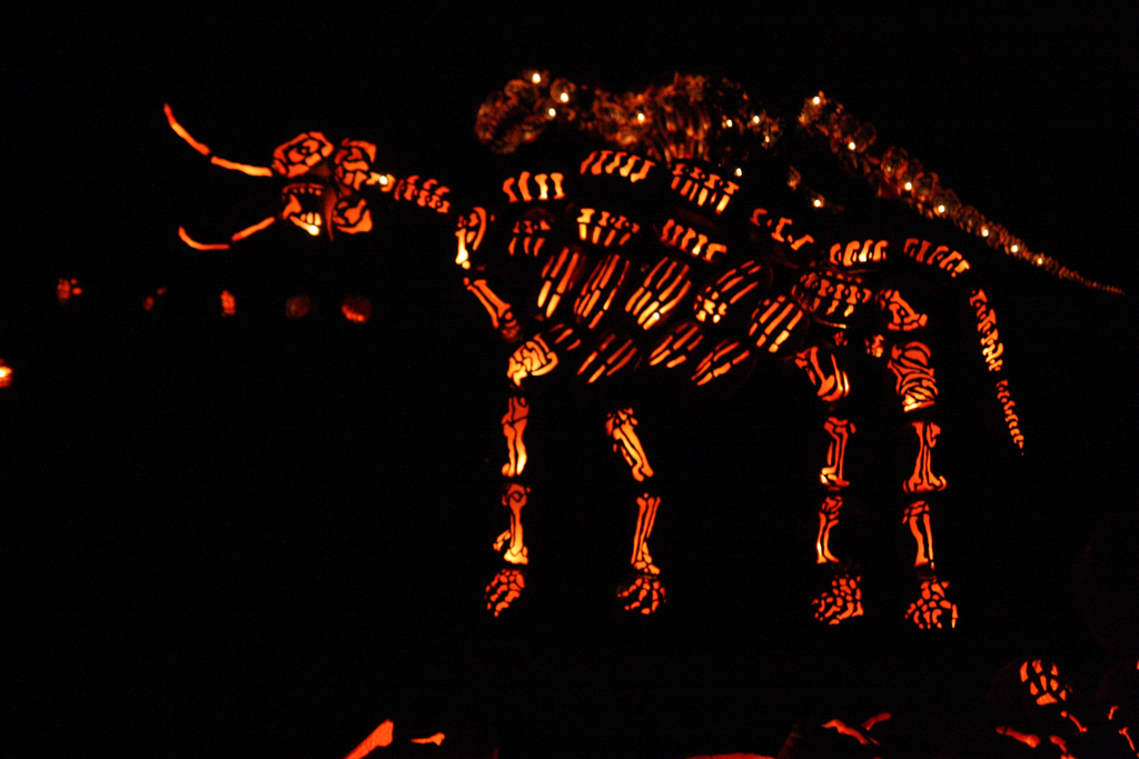 Check out this insane jack o' lantern display in Croton-on-Hudson