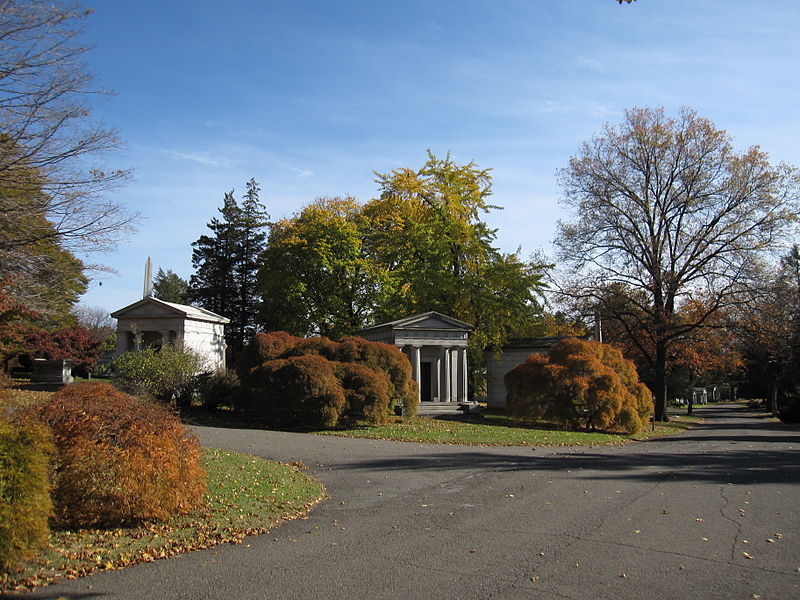 The 10 best New York City neighborhoods for families with kids