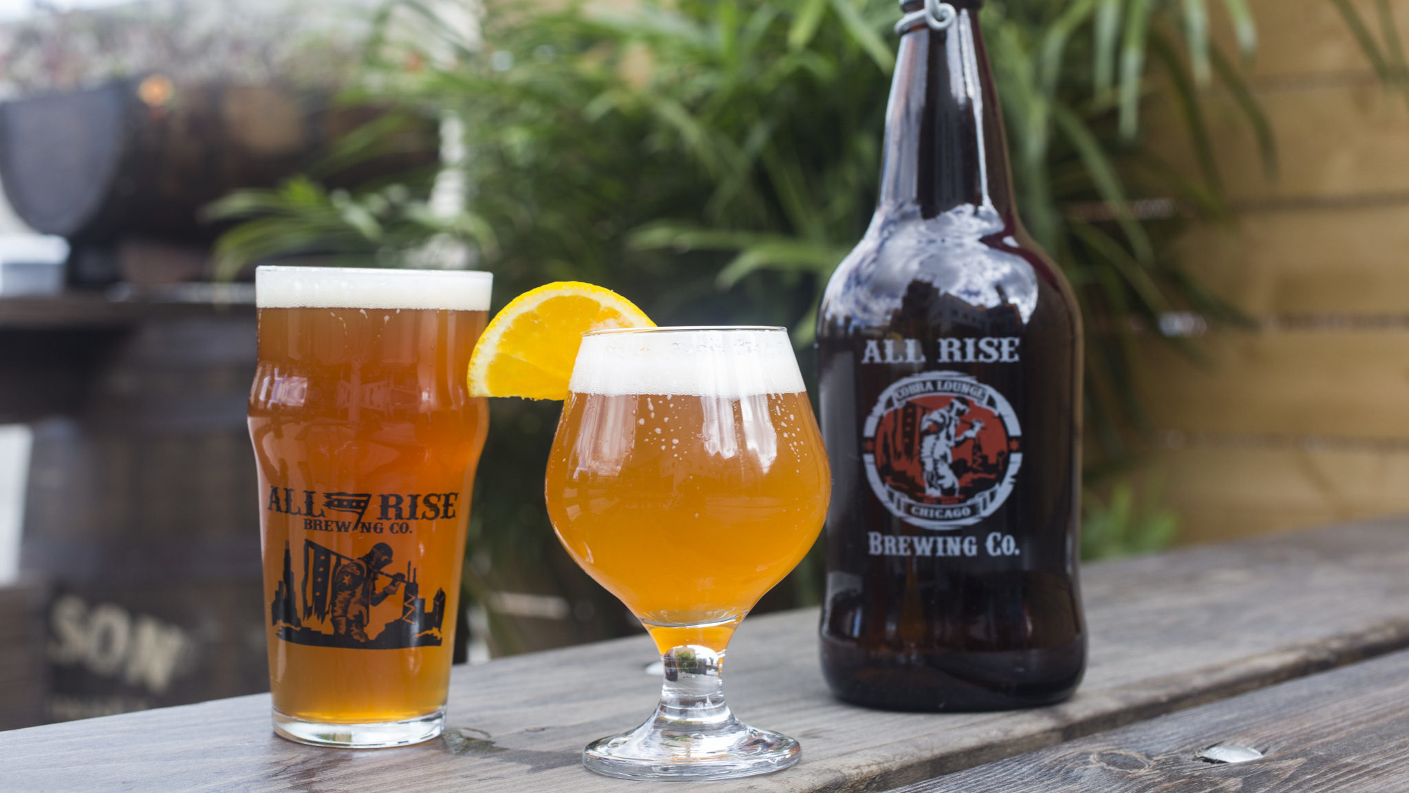 Chicago craft beer guide breweries, local beer reviews and more