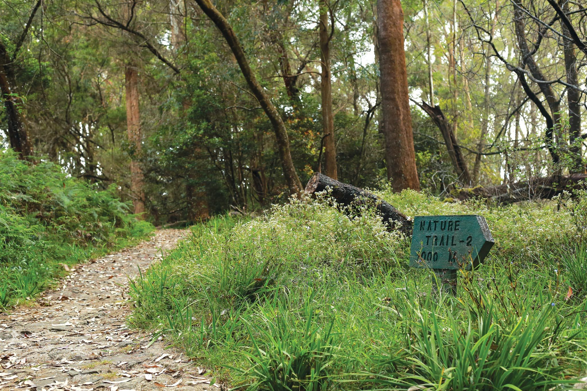 Galway’s Land National Park Travel in Nuwara Eliya, Sri Lanka