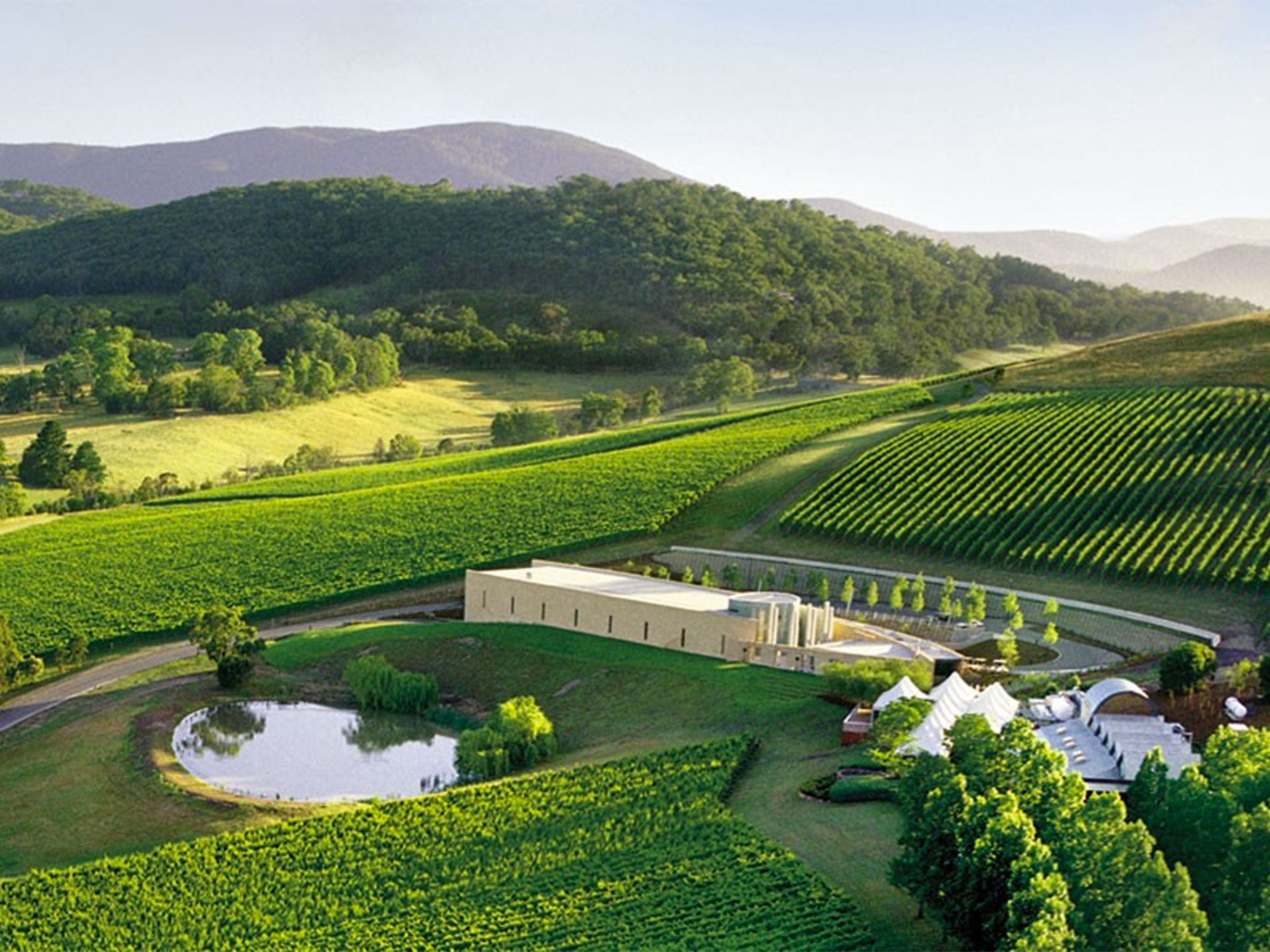 Best Yarra Valley wineries Yarra Valley cellar doors to visit