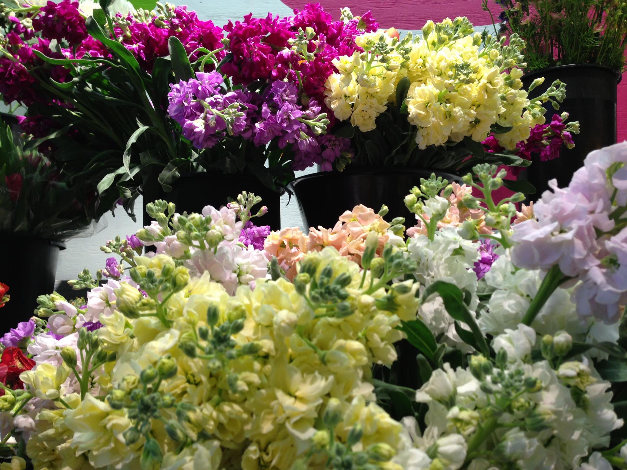 11 Best Options for Valentine’s Day Flower Delivery in Chicago