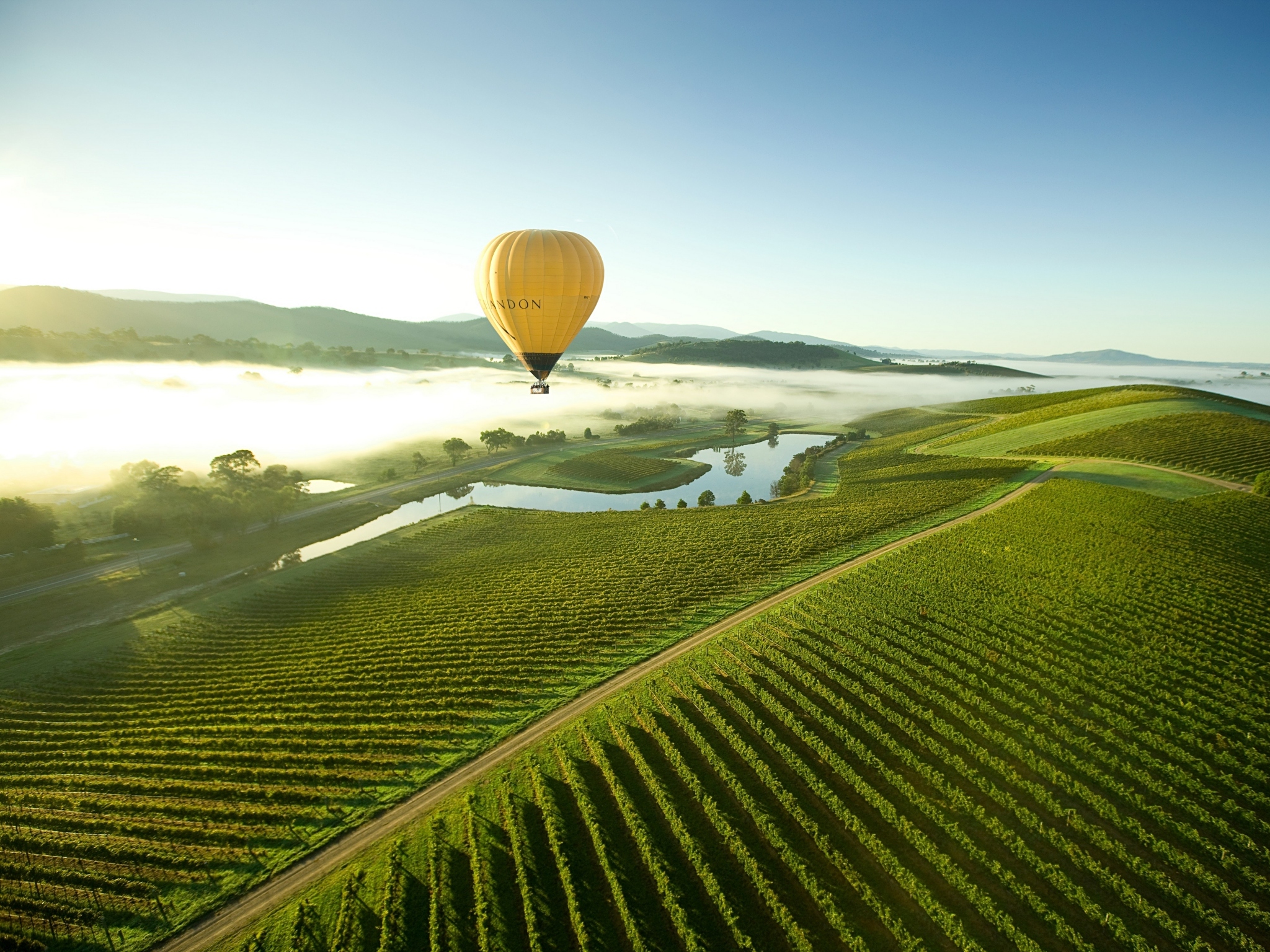 The 7 Best Wineries in the Yarra Valley
