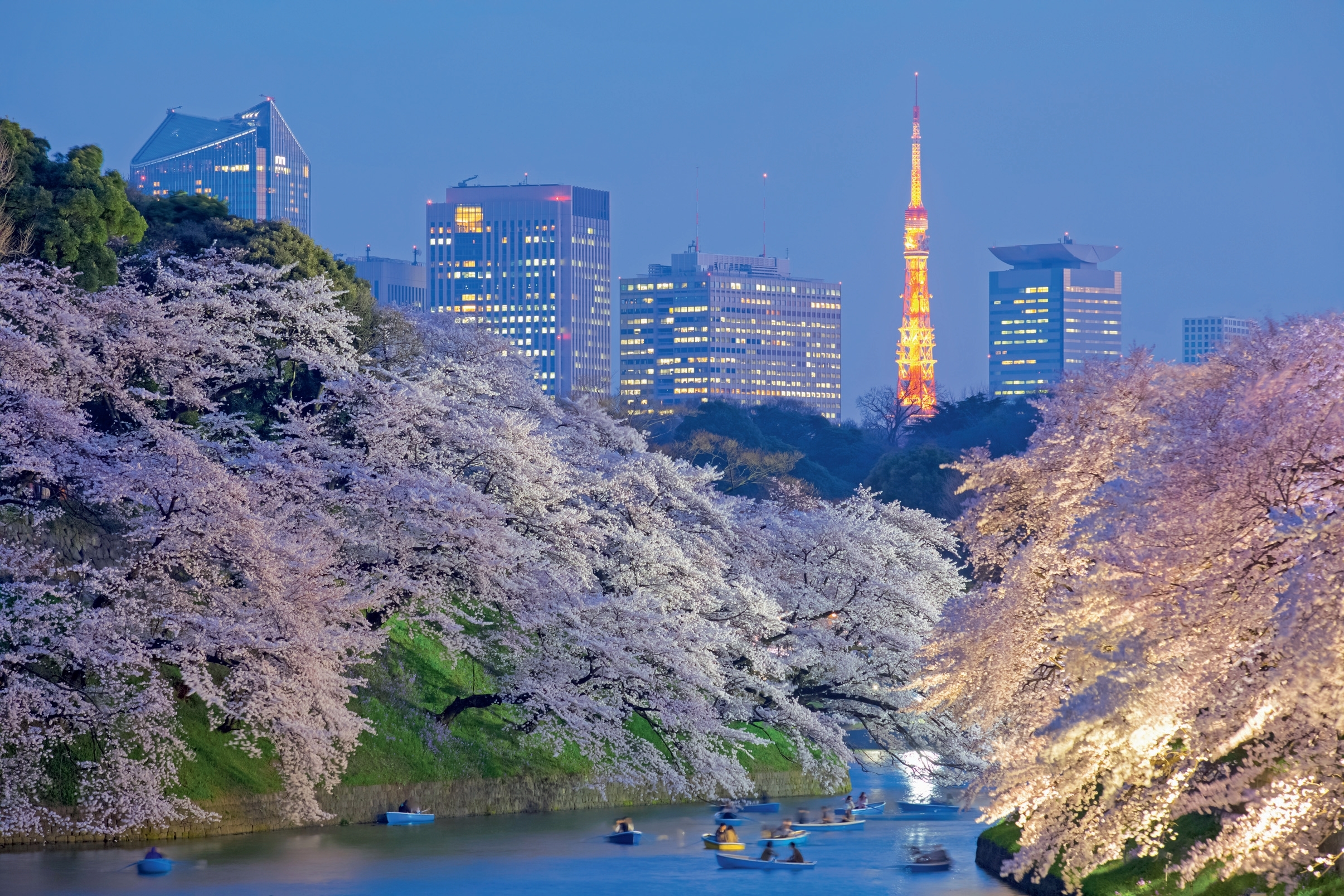The best cherry blossom viewing spots in Tokyo