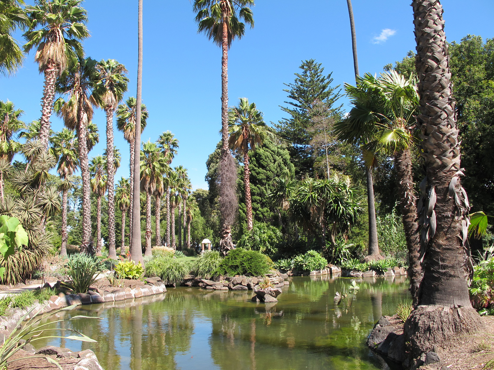 Williamstown Botanic Gardens Things to do in Williamstown, Melbourne