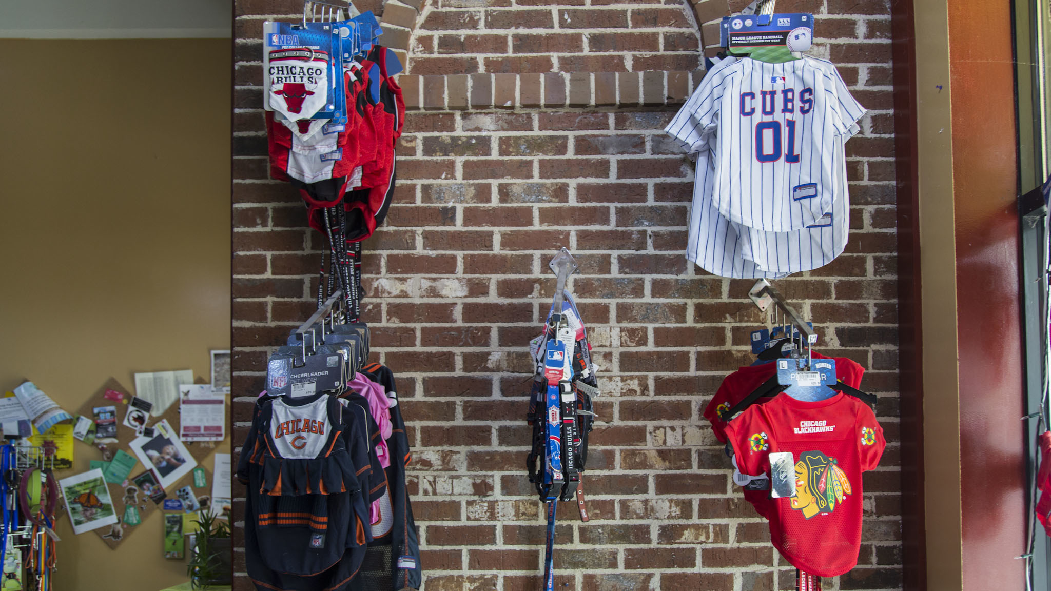 Pet stores in Chicago for dog leashes, cat collars and more