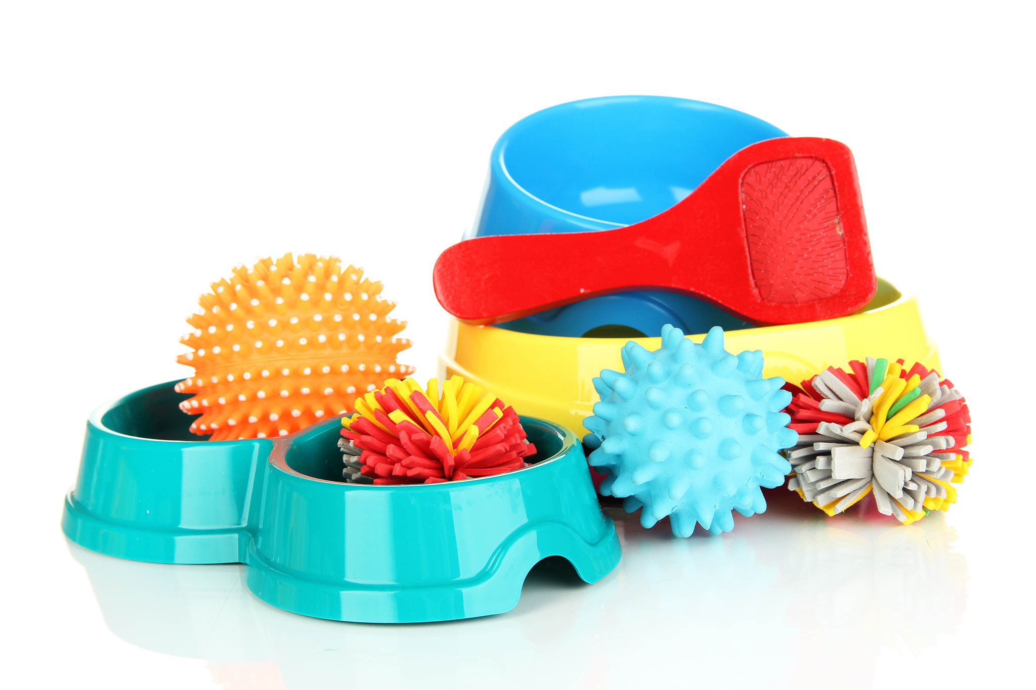 Find a great pet store in New York City