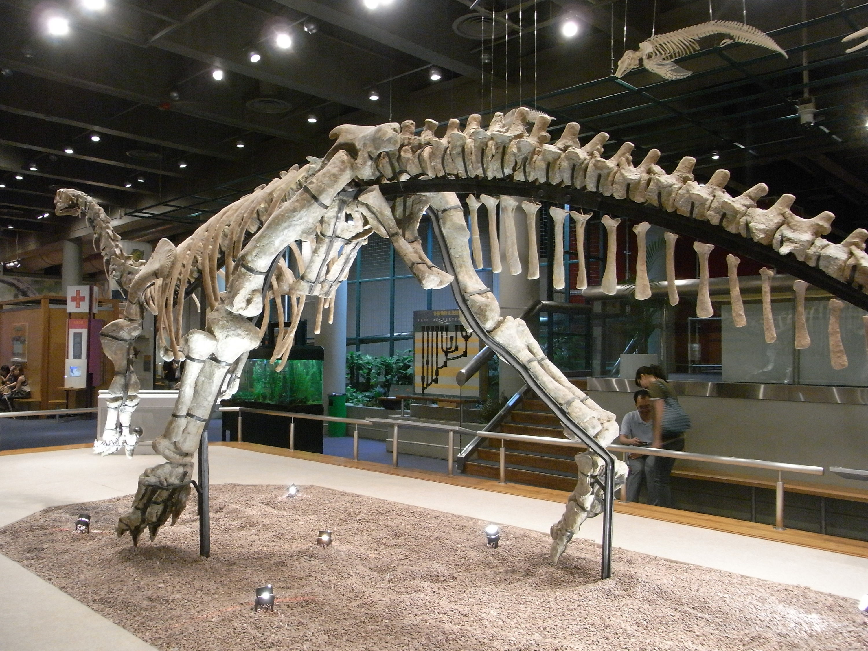15 Best Hong Kong Museums From Heritage To Space Time Out