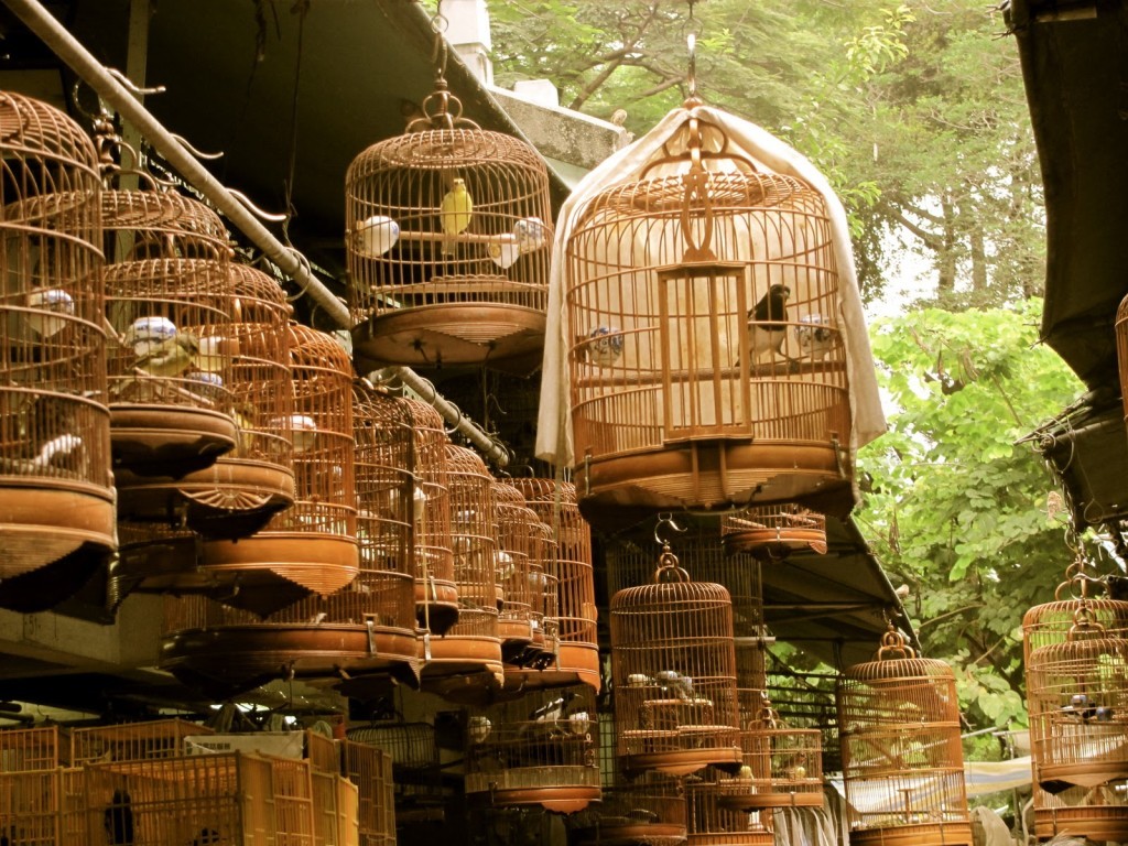 Yuen Po Street Bird Garden Attractions in Prince Edward, Hong Kong