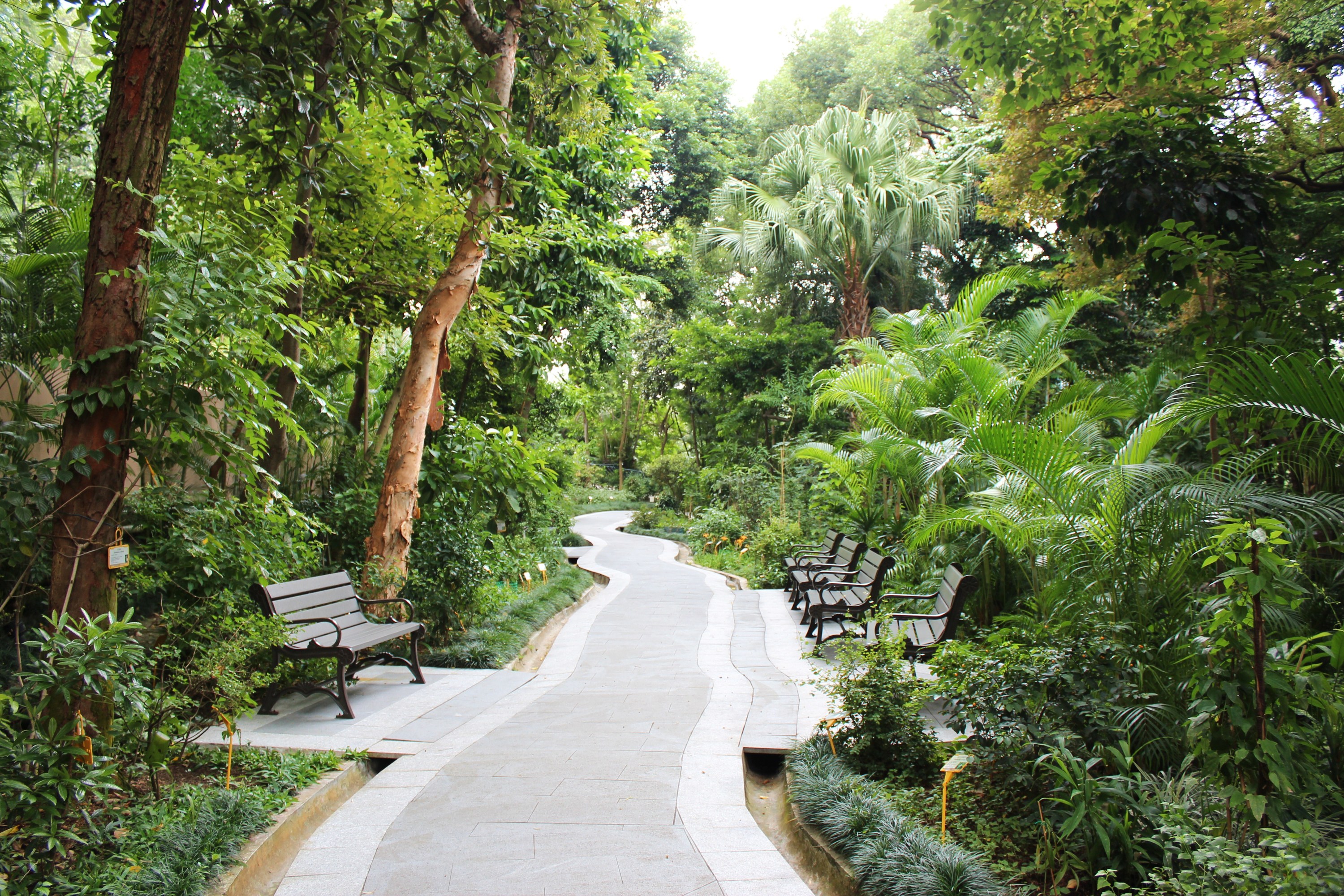 Hong Kong Zoological and Botanical Gardens Attractions in Central