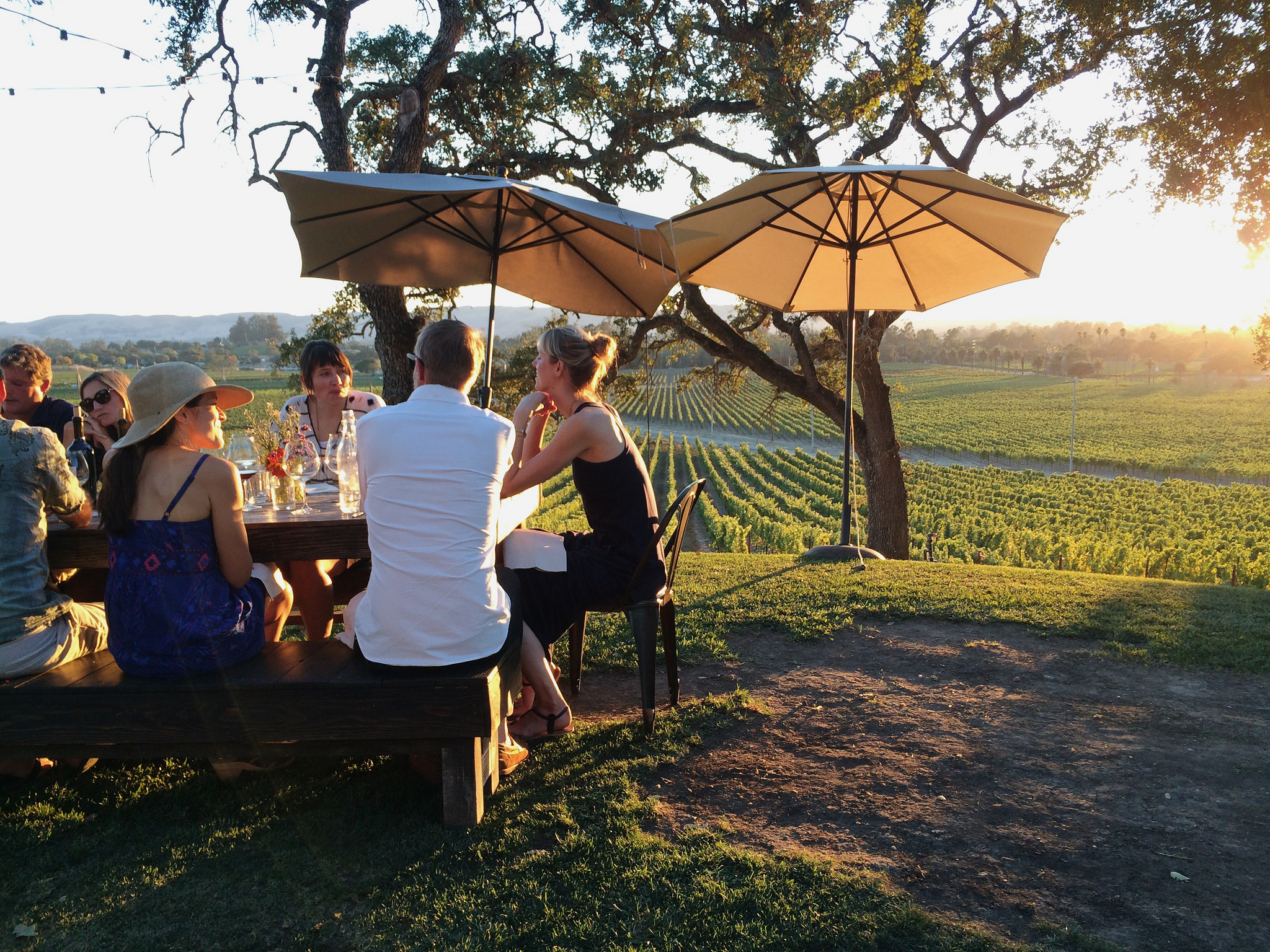 Guide to the best Sonoma wineries for wine tasting