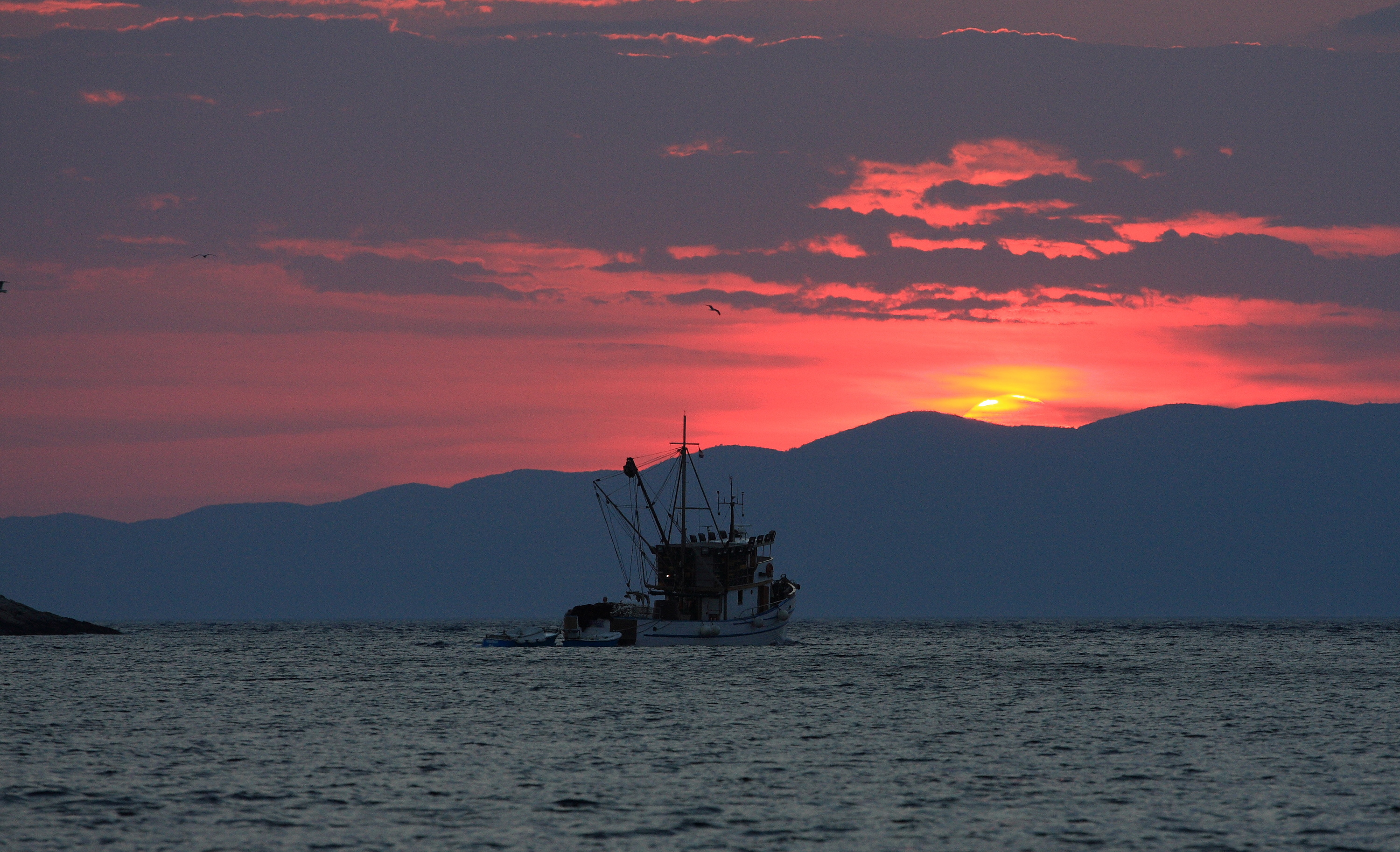 Mljet Travel Guide Getting to Mljet Travel Time Out Croatia