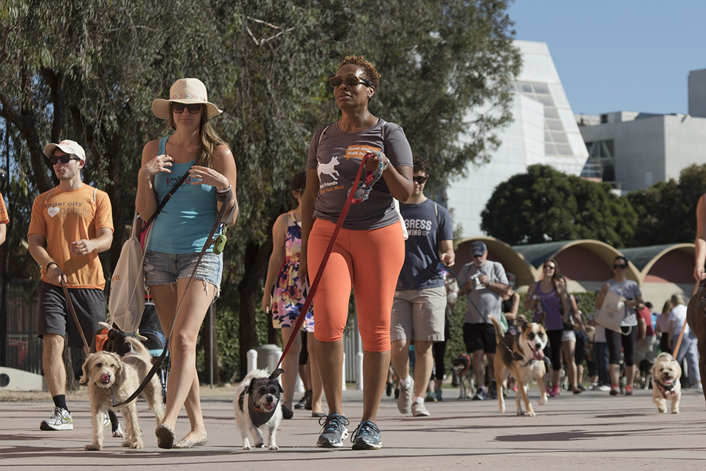 Strut Your Mutt Things to do in Los Angeles