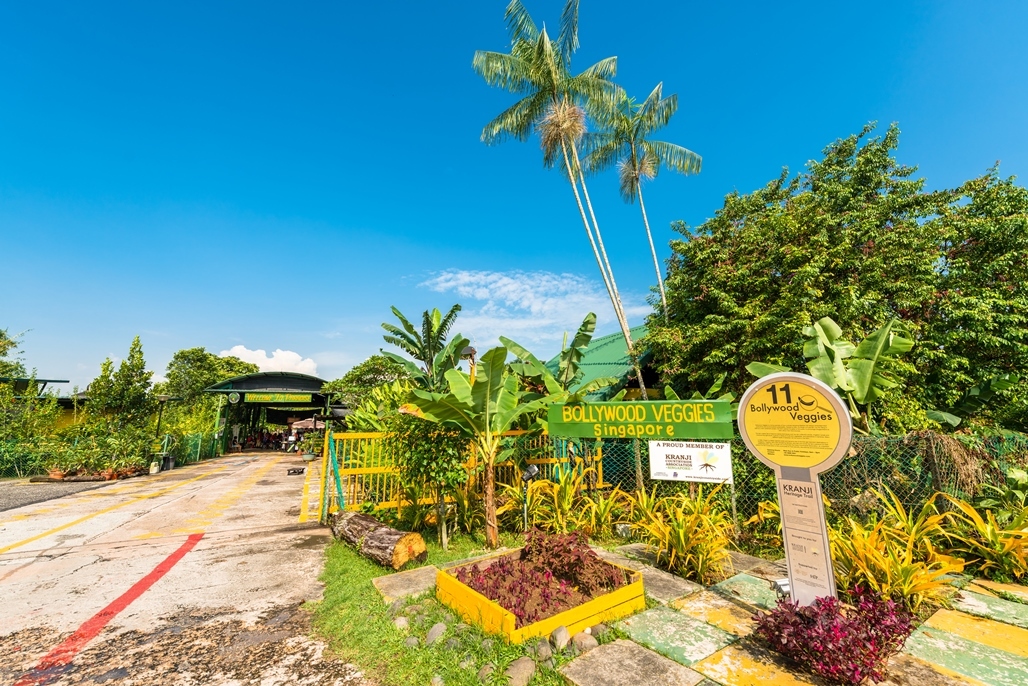 Best farms in Singapore