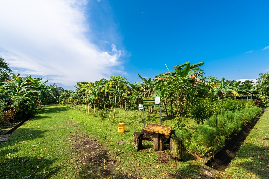 Kids & Family Friendly Activities Time Out Singapore