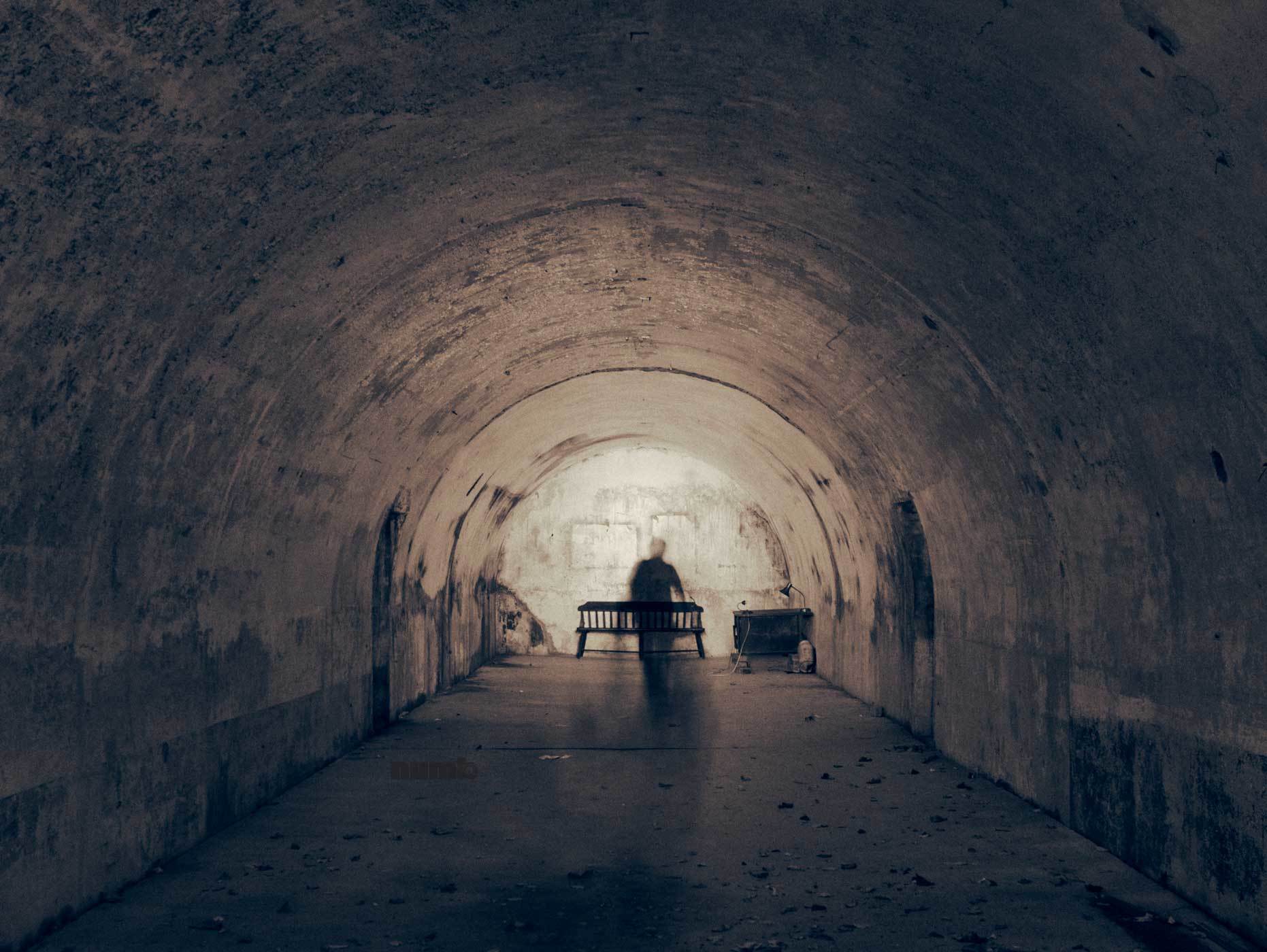 Are Dogs Allowed In Fort Totten Park