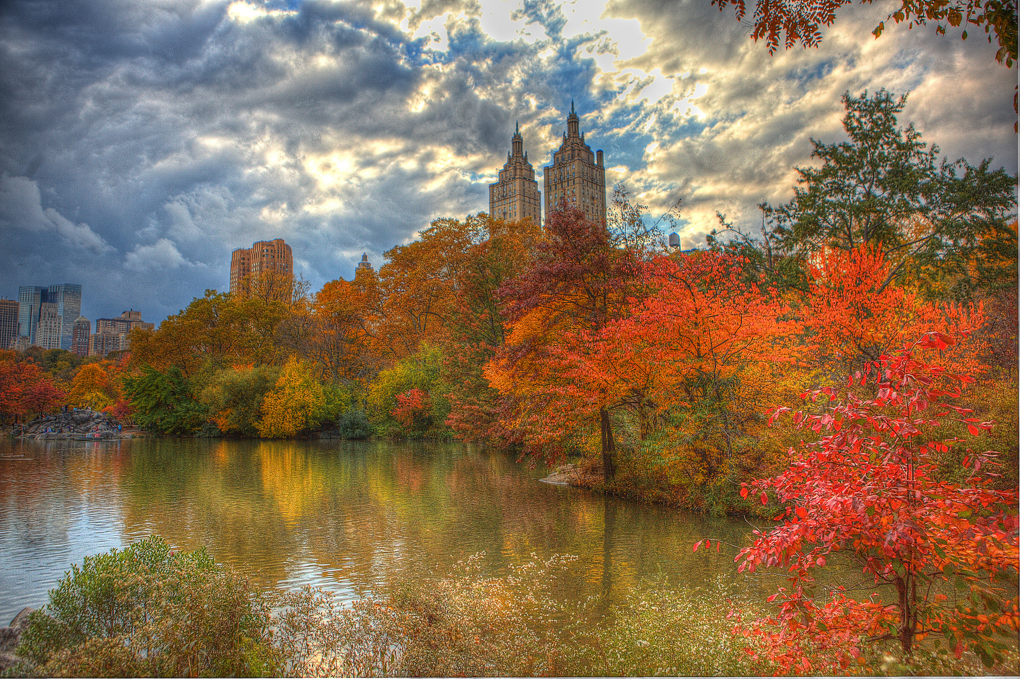 The fall foliage around NYC is going to suck this year