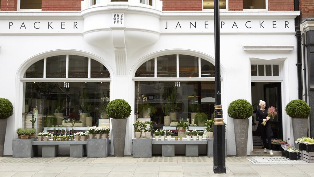Jasmine Wade Flowers By Jane Melbourne Preserved Flowers Are Back