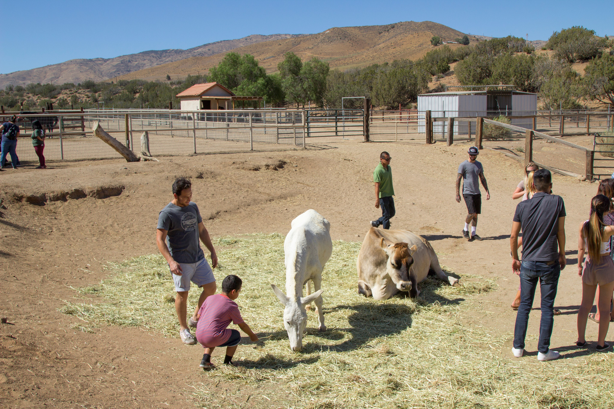 Wildlife Sanctuaries Near Los Angeles for Animal Encounters