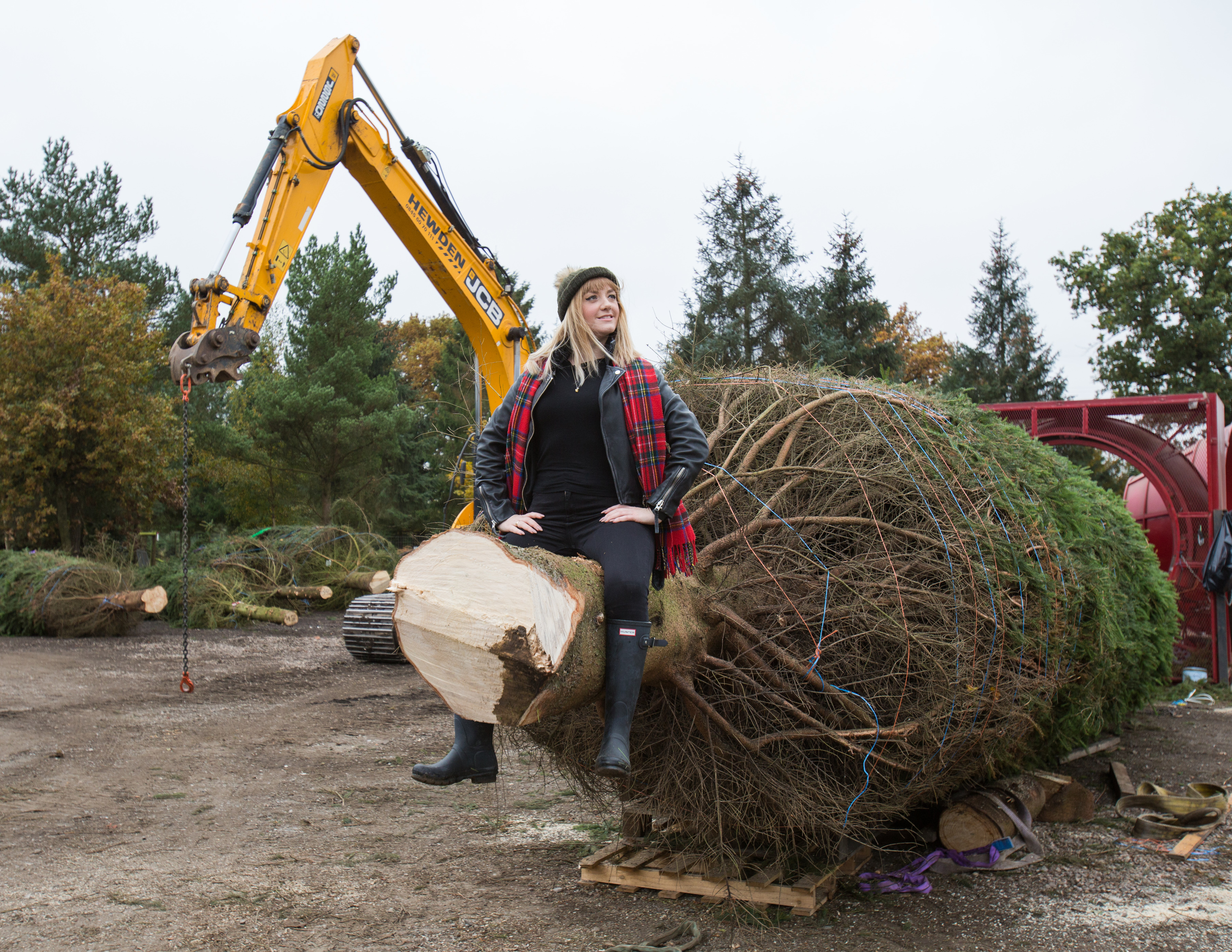 Timberrrrr Eight things we learned chopping down Covent Garden's