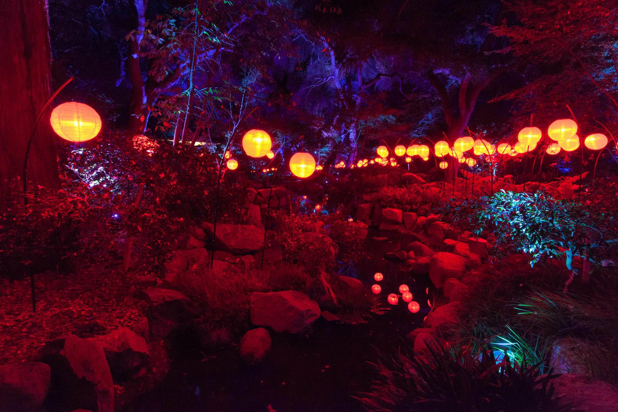 Enchanted Forest of Light brings L.A.'s most stunning holiday display