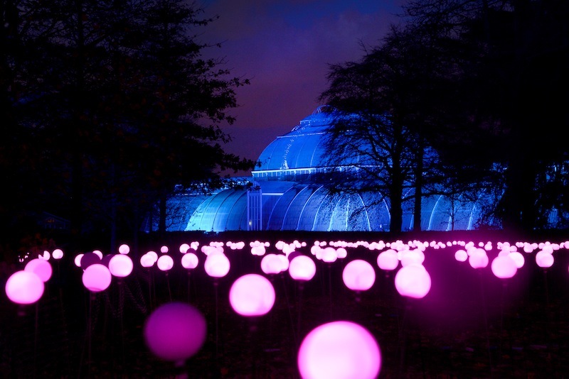 Kew Gardens Tickets and general info Time Out