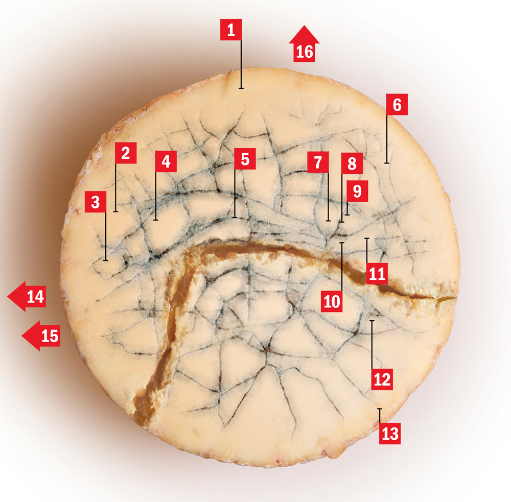 Go fromage cray it’s the great London cheese map