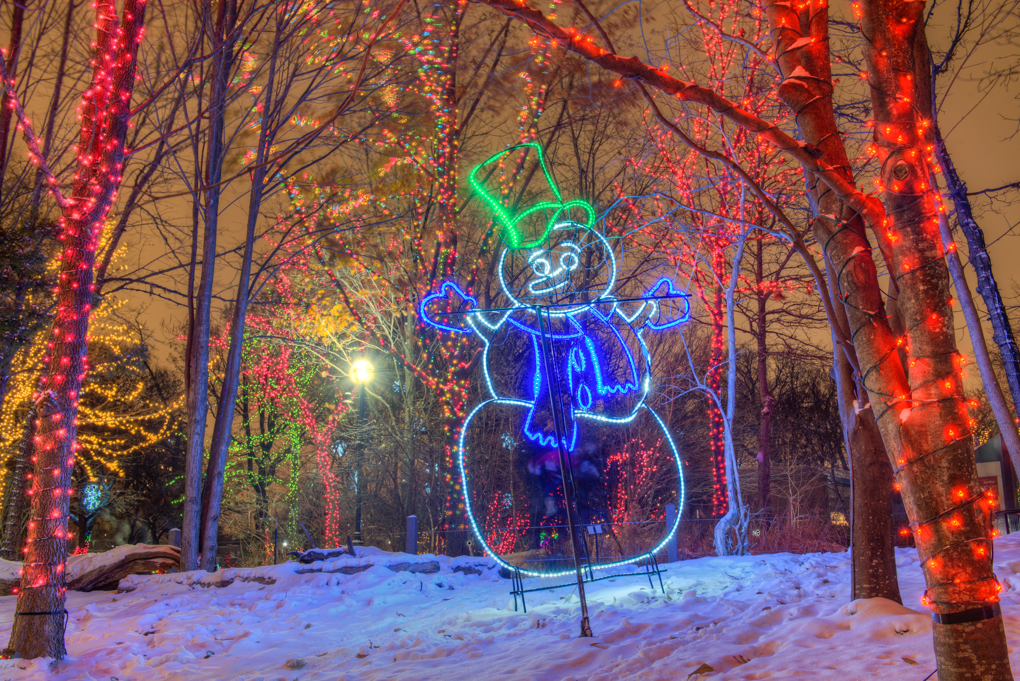 Twinkling photos from ZooLights at Lincoln Park Zoo