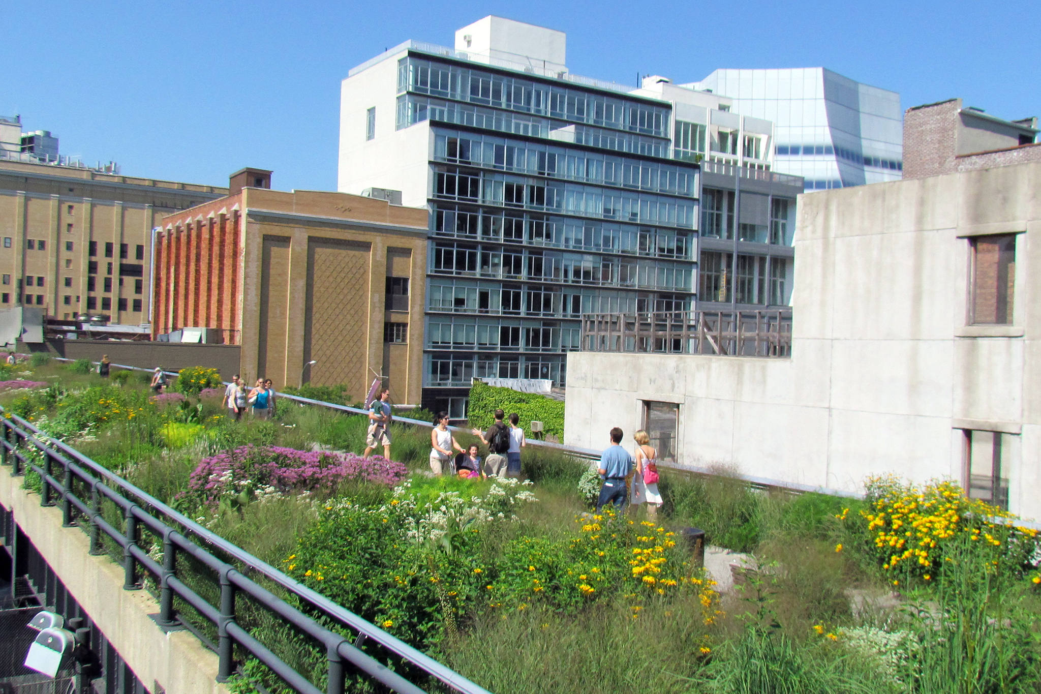 Guide to the High Line in NYC Including Events and Artwork