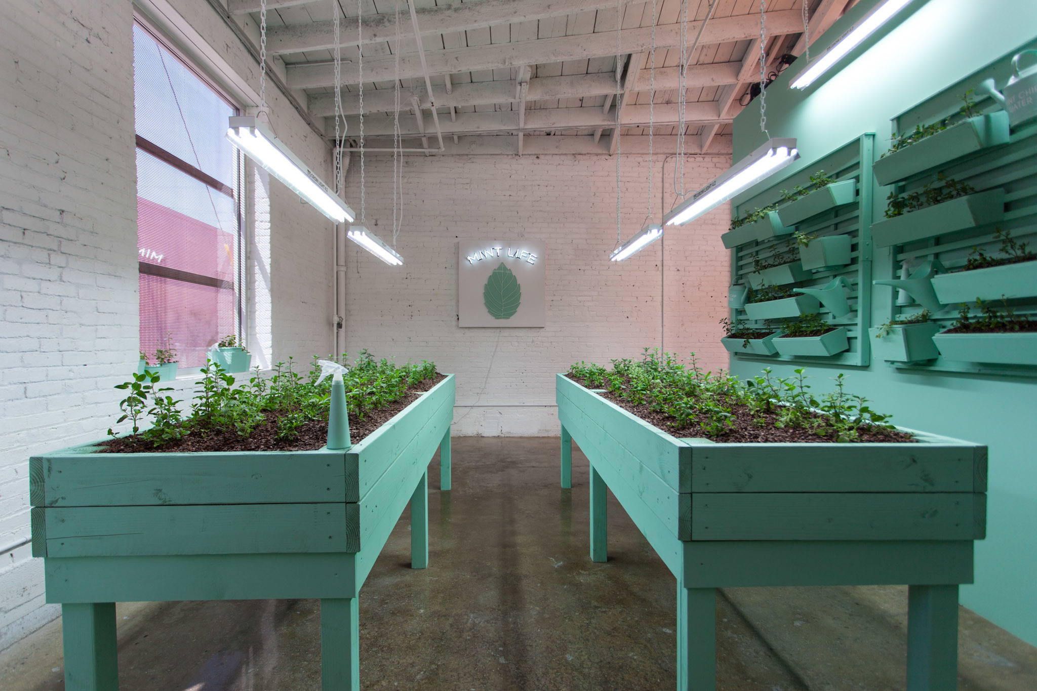 Dive into a pool of sprinkles at the Museum of Ice Cream Los Angeles