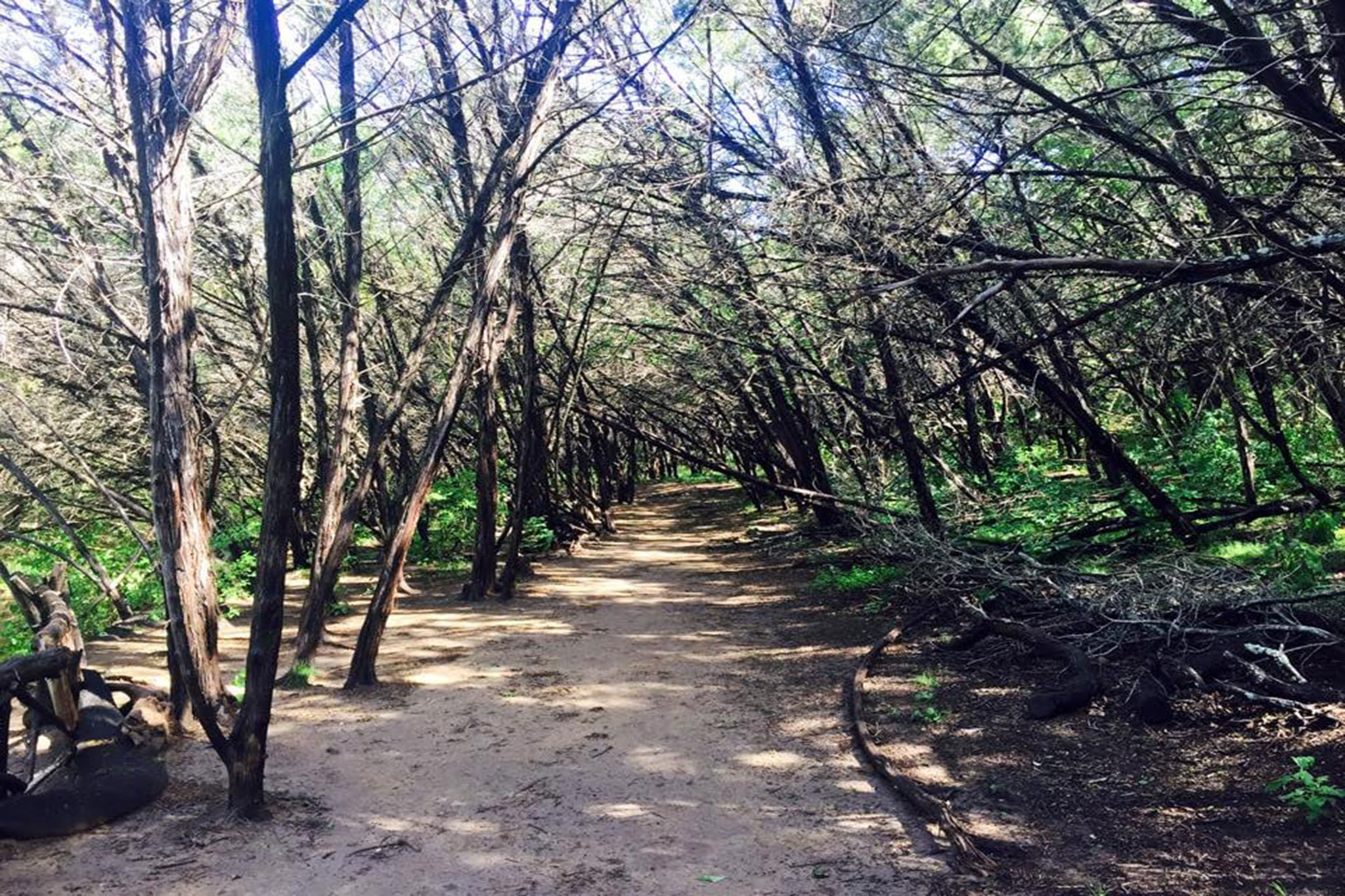 Turkey Creek Trail Things to do in West Austin, Austin