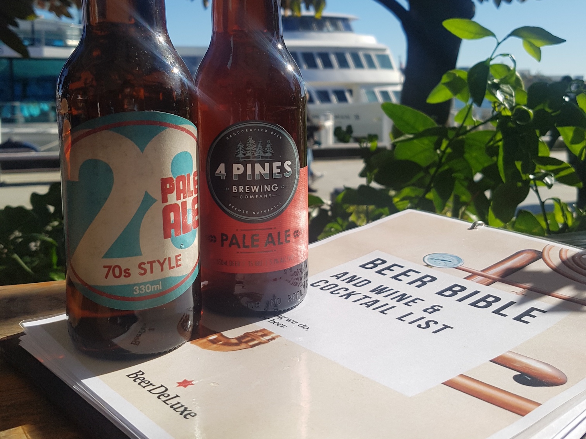 Watch the State of Origin at Beer DeLuxe King Street Wharf