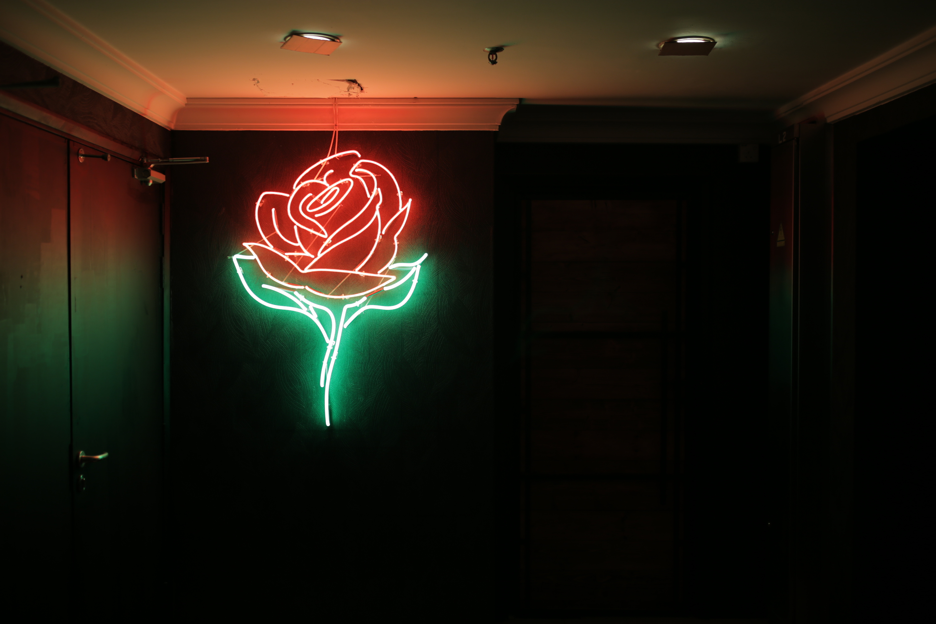 Jack Rose Bars and pubs in Bukit Damansara, Kuala Lumpur