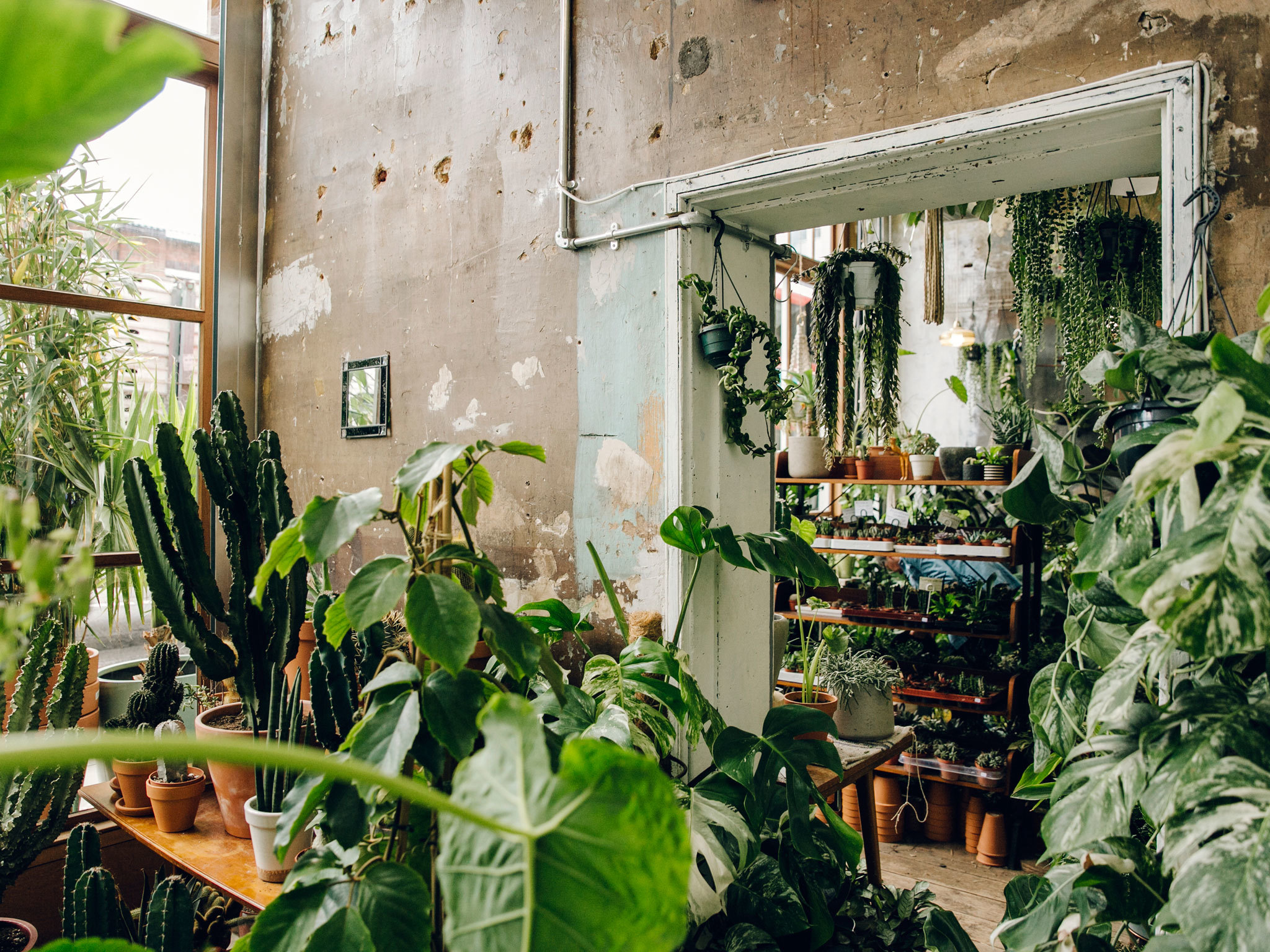Best Garden Centres and Plant Shops in London 24 Lush Places To Buy