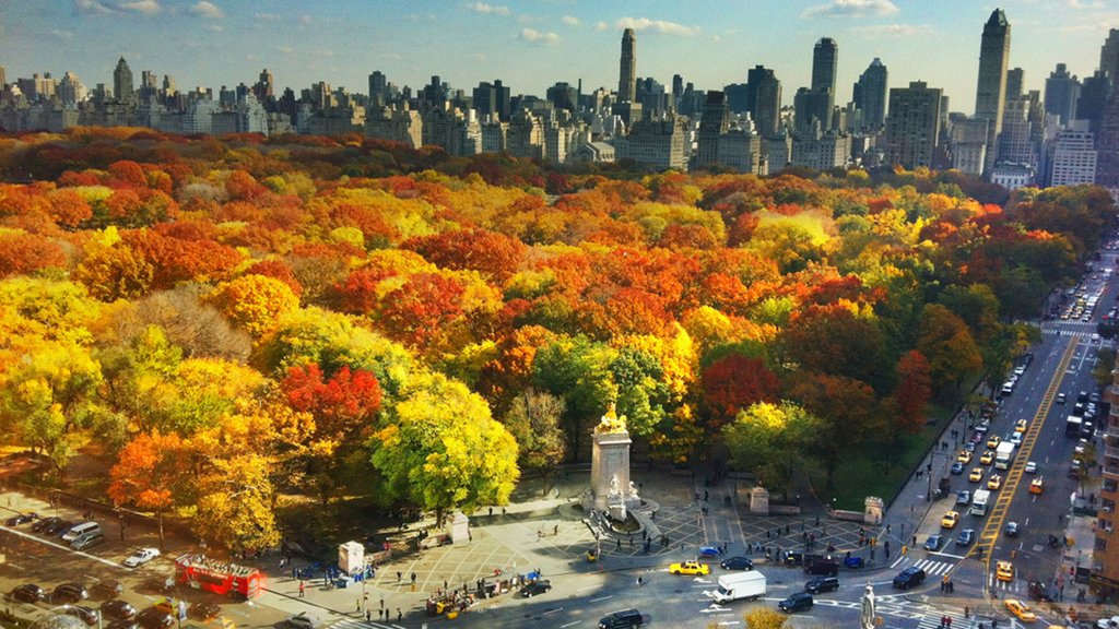 25 beautiful photos of fall in NYC