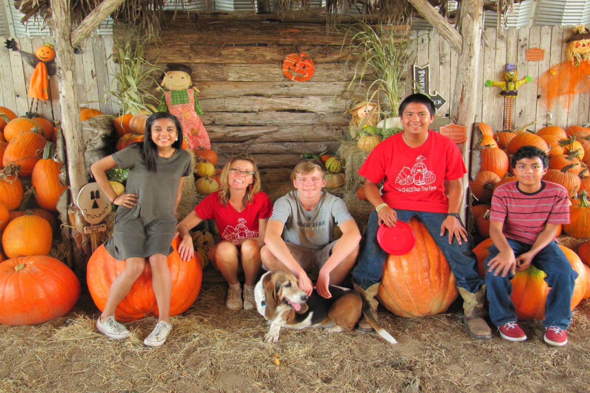 Elgin Christmas Tree Farm Elgin Christmas Tree Farm Things to do in Austin