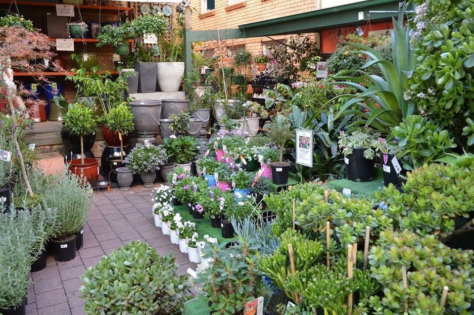 Flower Power Enfield Hours Best Flower Site