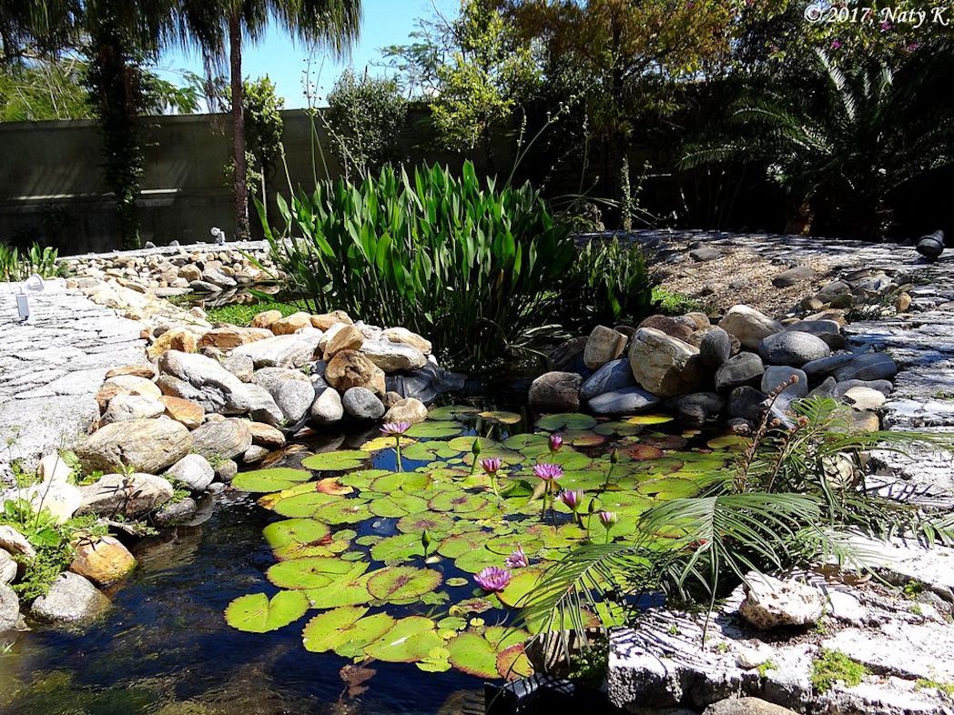 IchimuraMiami Japanese Garden Things to do in Miami, Miami