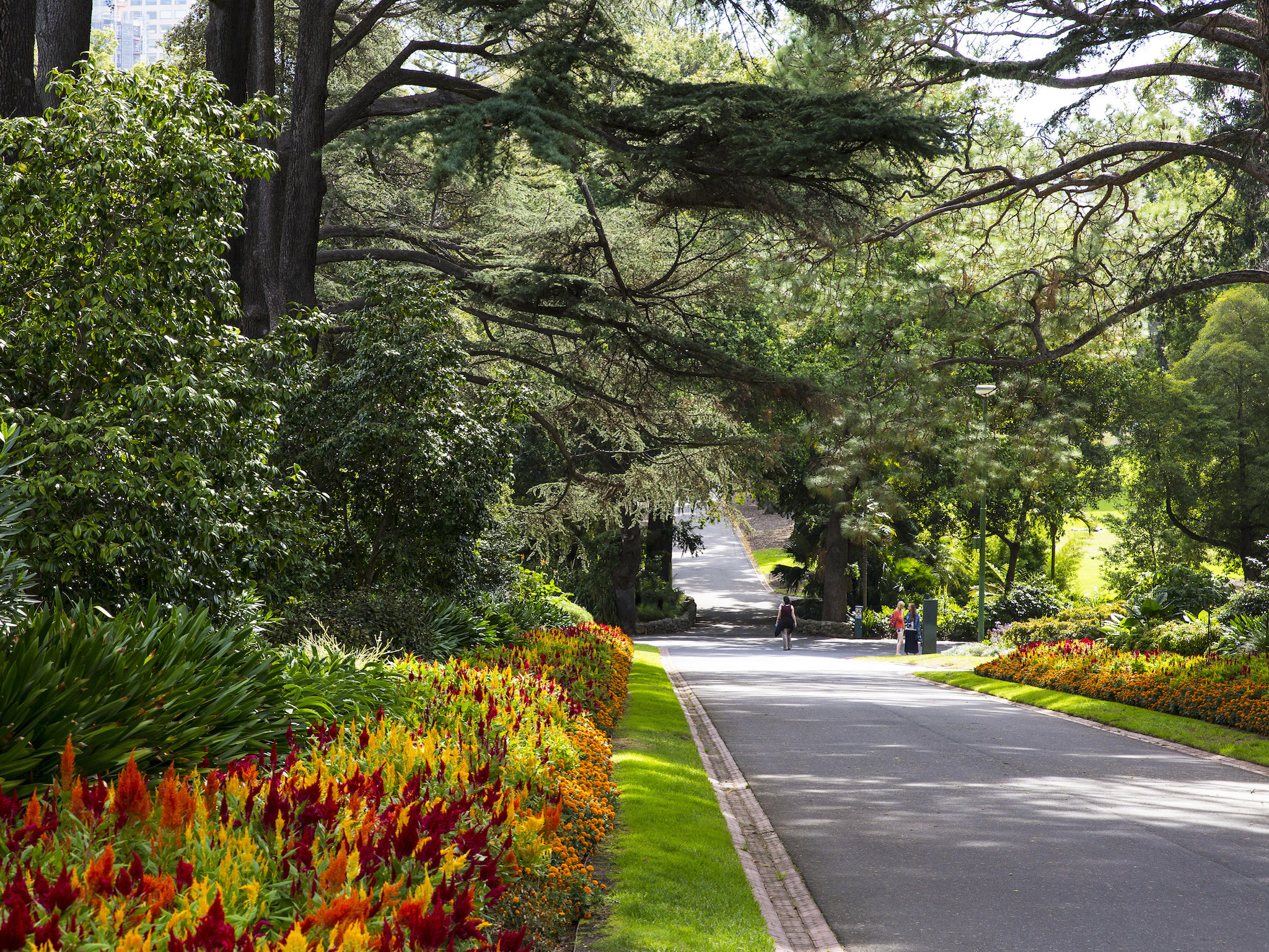 The 7 best Melbourne parks to spend time in