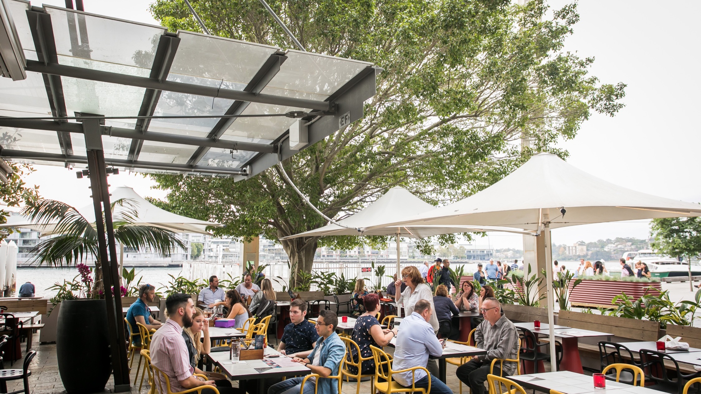 The Best Restaurants in Darling Harbour