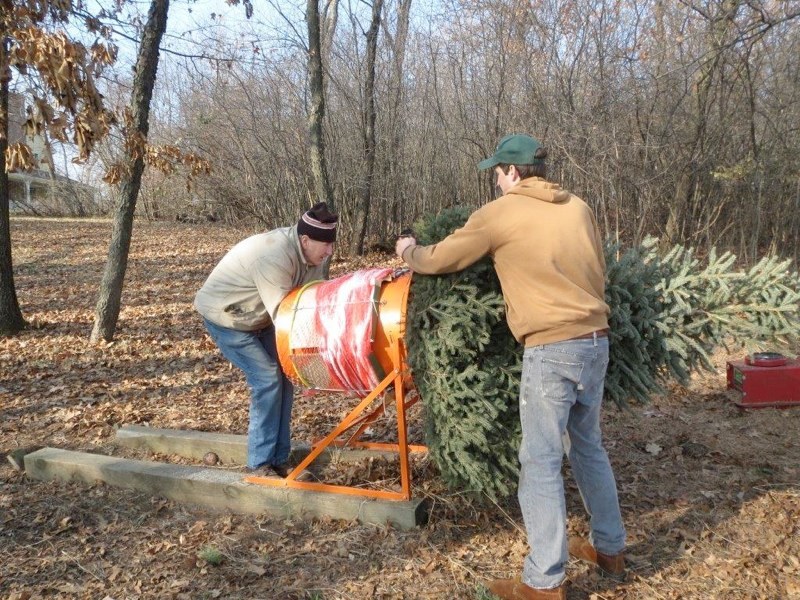 Cut down your own Christmas tree near Chicago