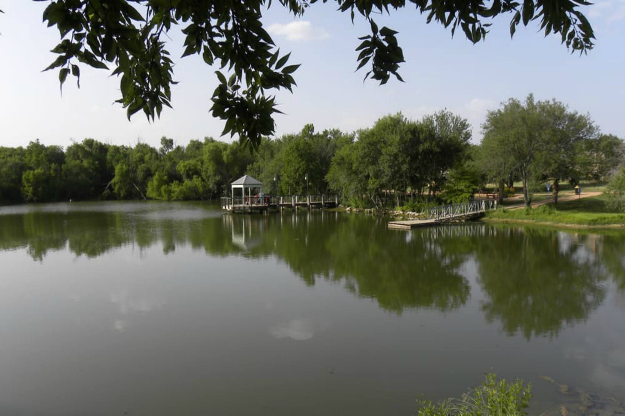 Mills Pond Attractions in Downtown, Austin