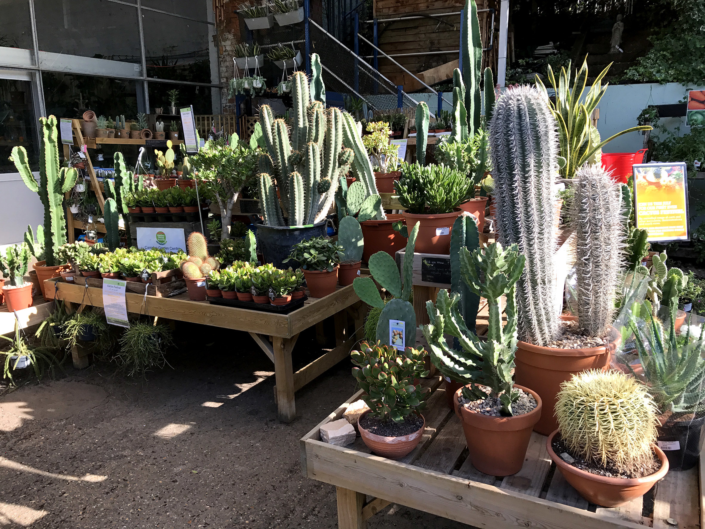 Best Garden Centres and Plant Shops in London 24 Lush Places To Buy