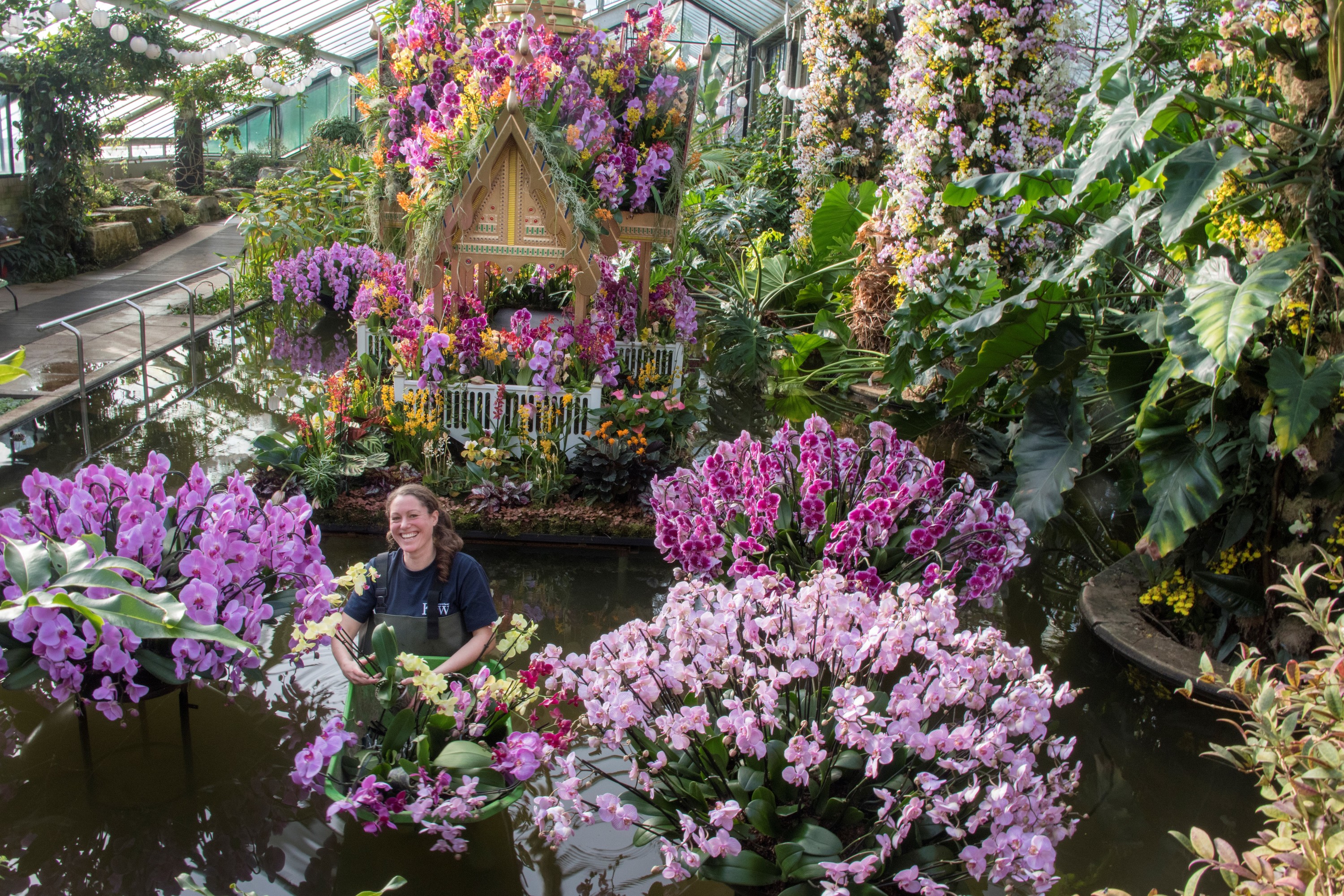 Everything You Need To Know About Orchids Festival 2019 at Kew Gardens