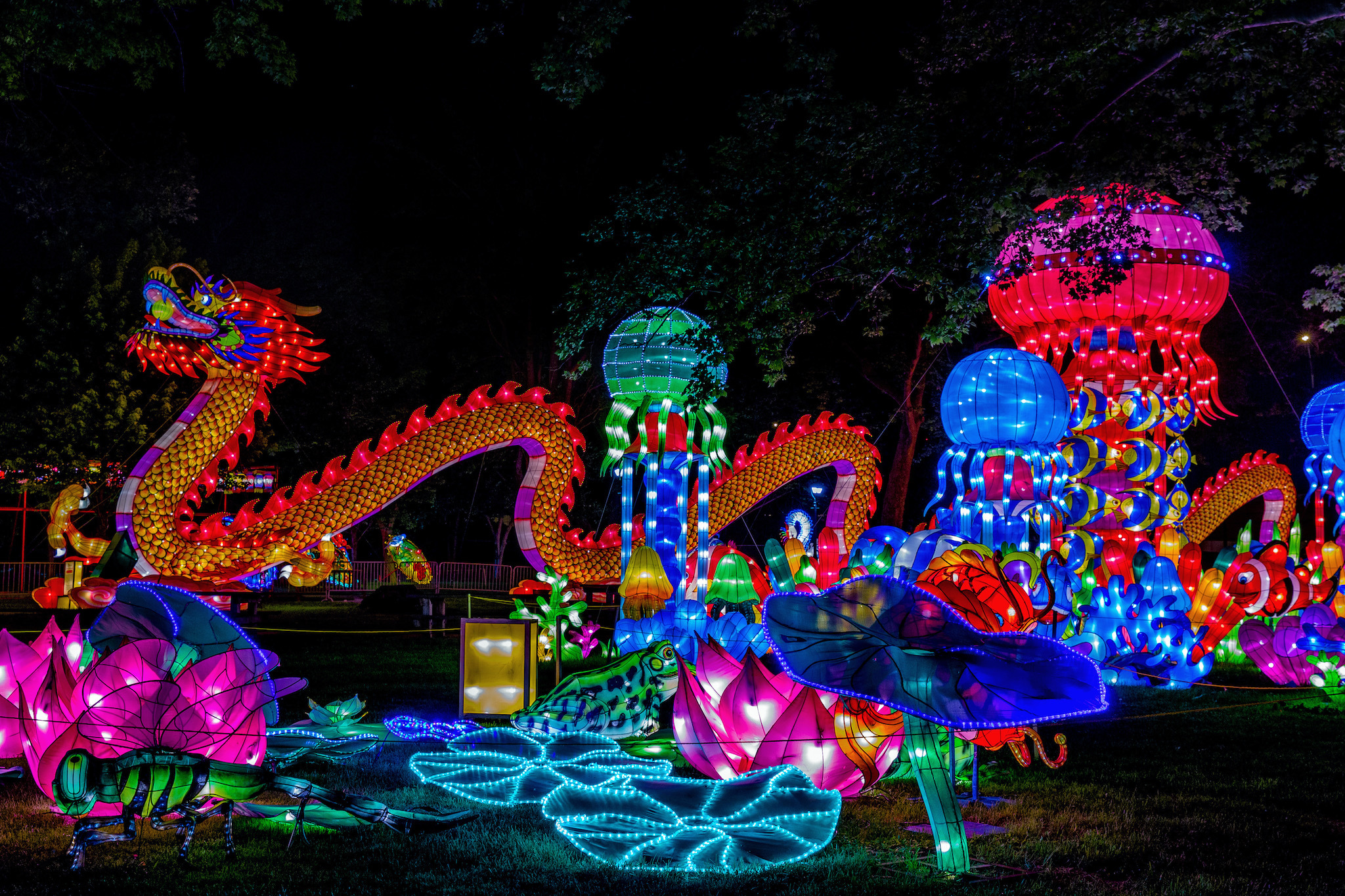 Philadelphia Chinese Lantern Festival Things to do in Philadelphia