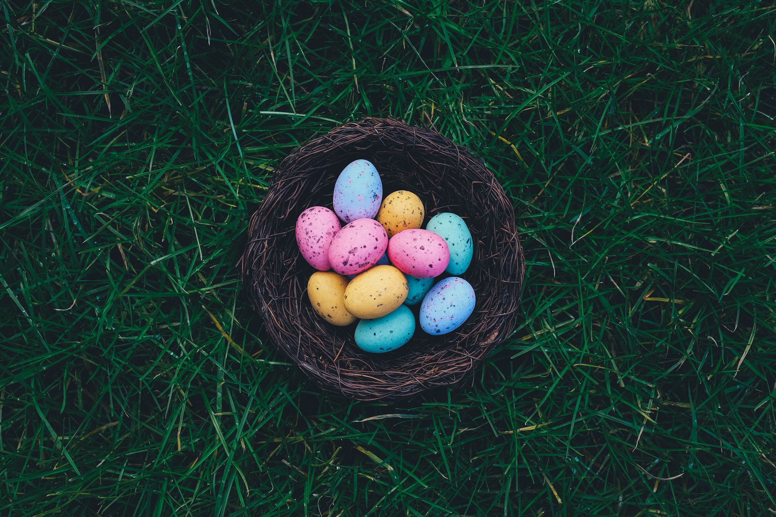 Easter Events Near Me 2023 Where To Go On An Easter Egg Hunt In Los Angeles