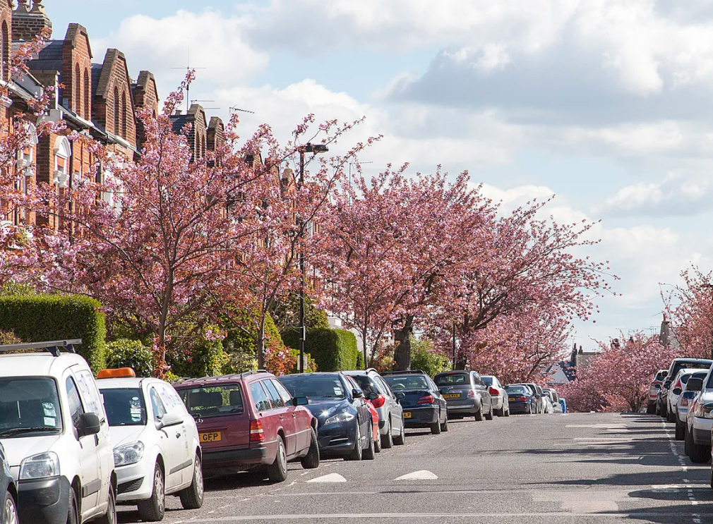 9 Places To See Cherry Blossom in London Cherry Blossom Season 2021