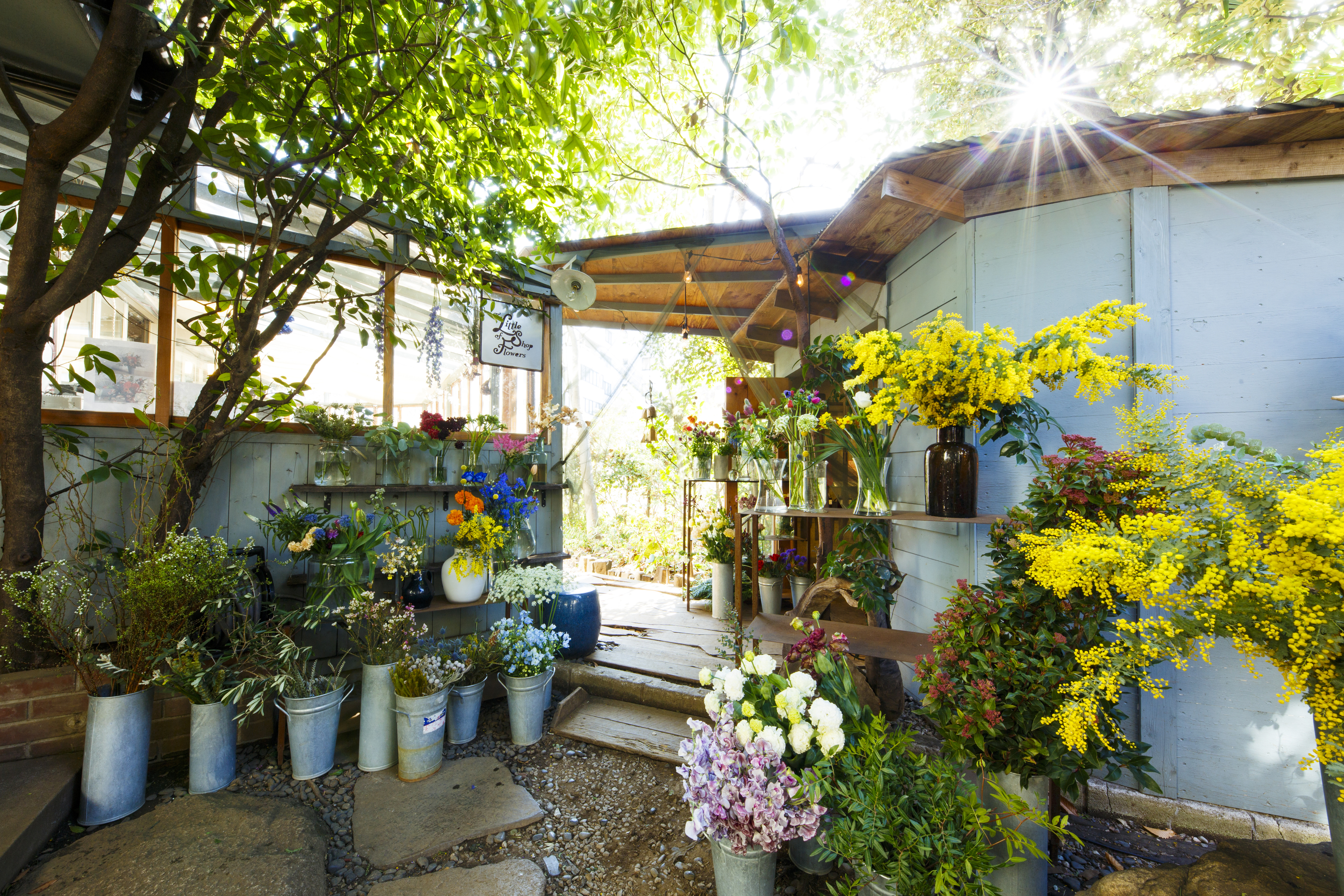 50 things to do in Harajuku Time Out Tokyo